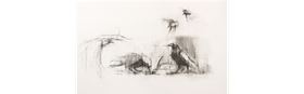 BIRDS BY LISA WOOLFE