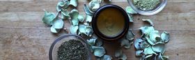 Healing Herbs Workshop