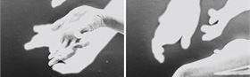Shadow Play Workshop