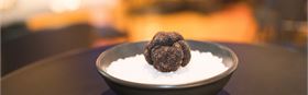 Truffle Degustation 2026