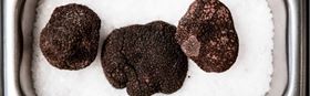 Truffle Degustation at Bellbird Dining & Bar
