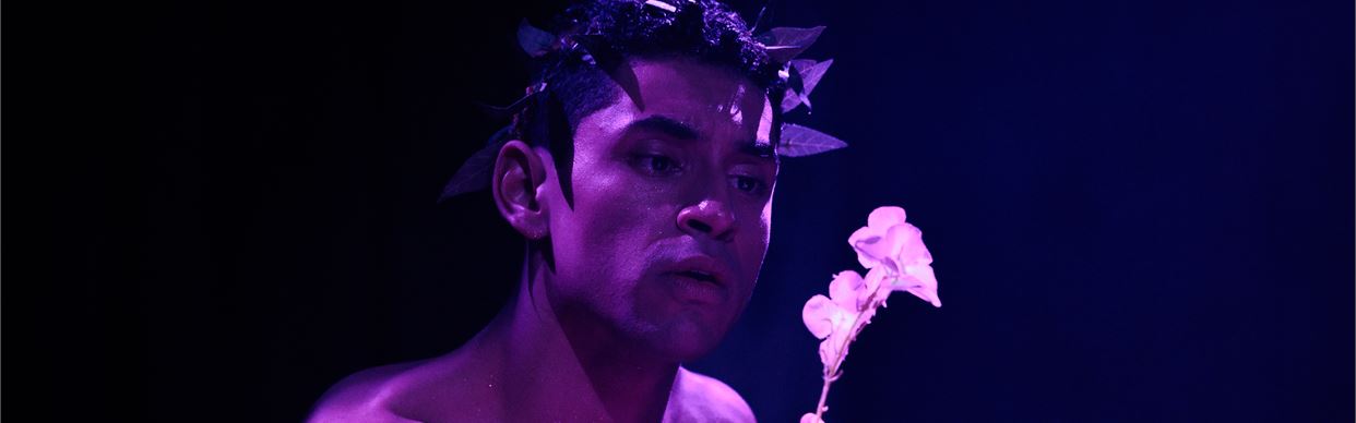 A Midsummer Night's Dream by William Shakespeare