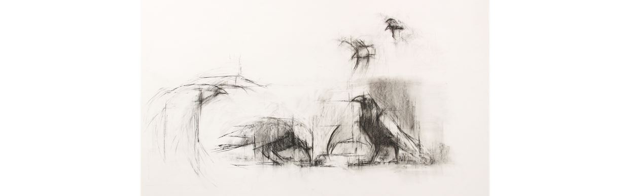 BIRDS BY LISA WOOLFE