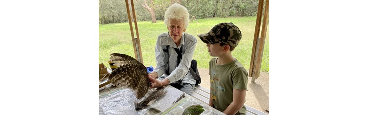 Bird Watching Tour and Creative Workshop