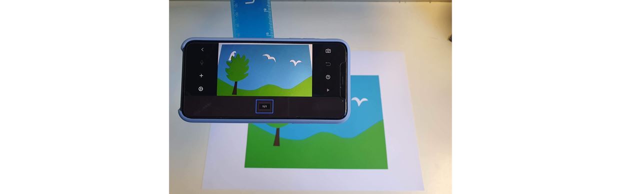 Birds Stop Motion Workshop
