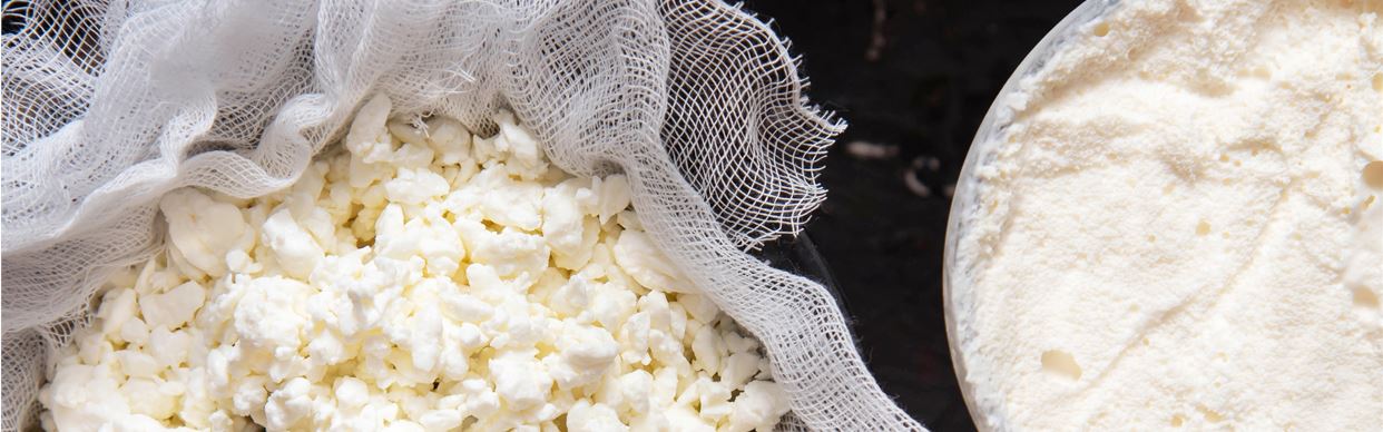 Cheesemaking Workshop