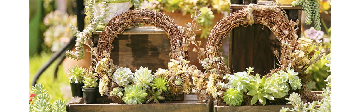 Create a Succulent Christmas Wreath Workshop
