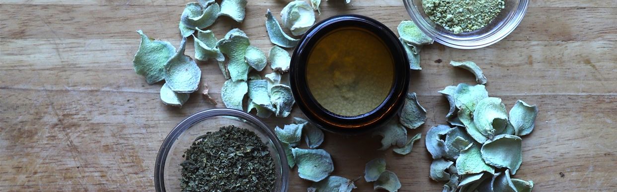 Healing Herbs Workshop