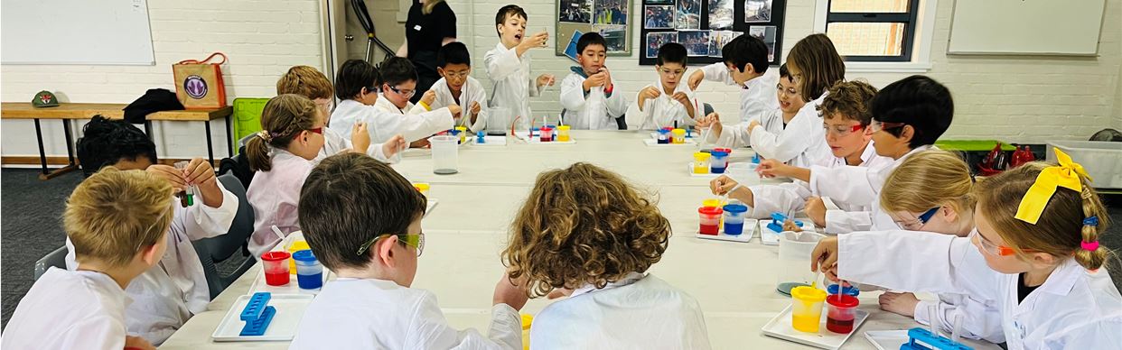 Super Little Scientist Workshop