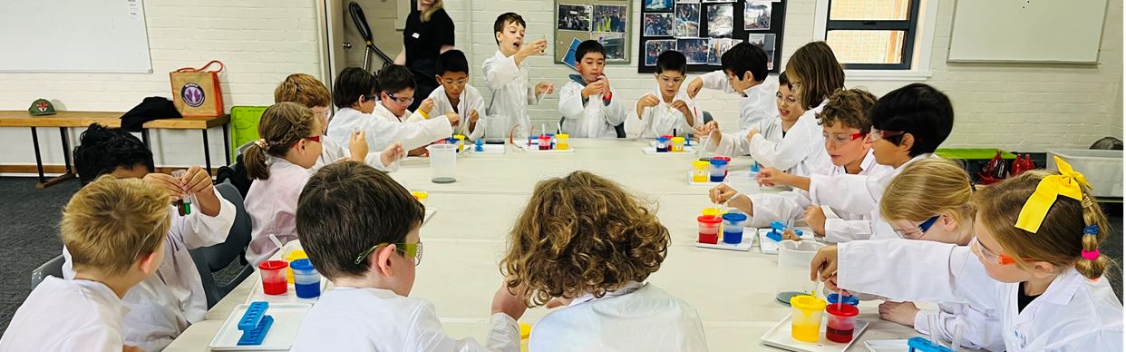 Super Little Scientist Workshop