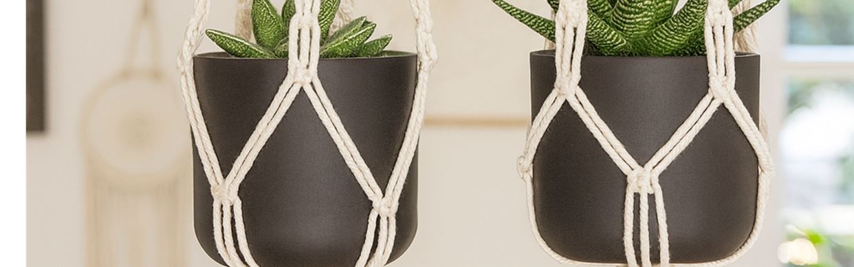 Macrame Plant Hangers
