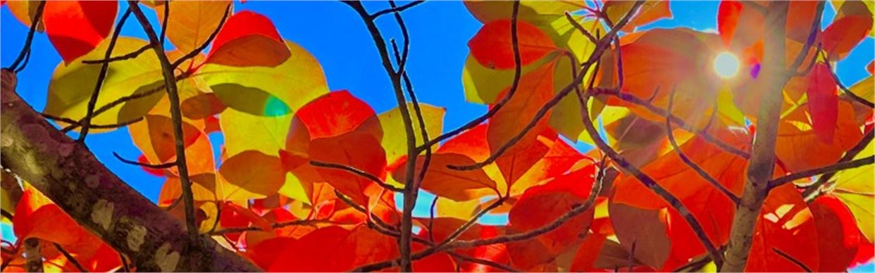 Nature Photography Class