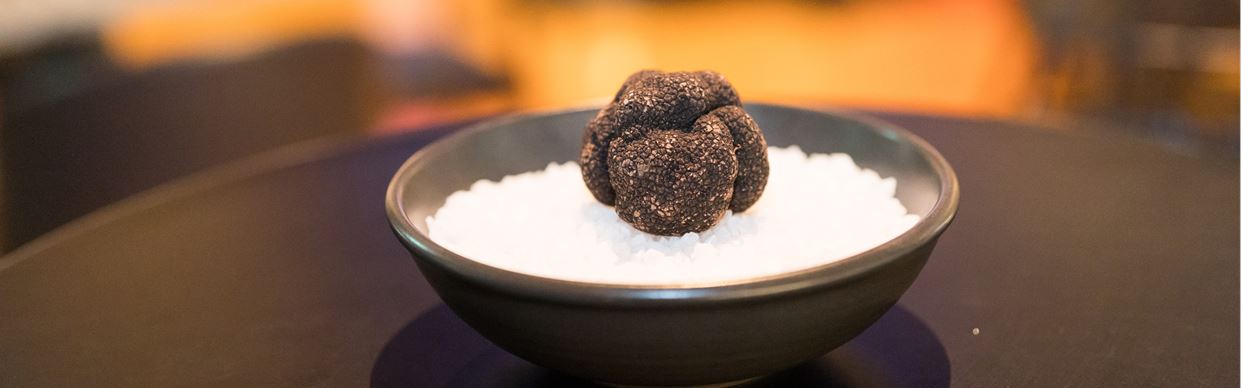 Truffle Degustation 2026