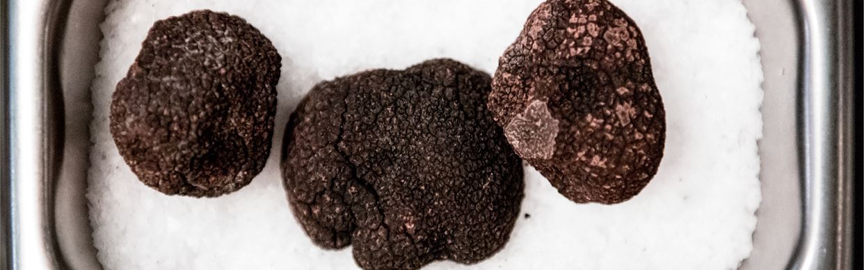 Truffle Degustation at Bellbird Dining & Bar