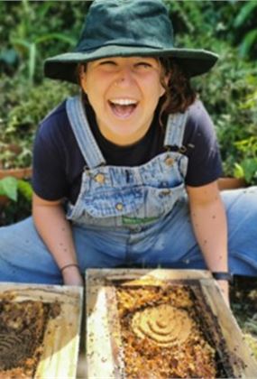 Bee Workshop