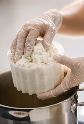 Cheesemaking Workshop