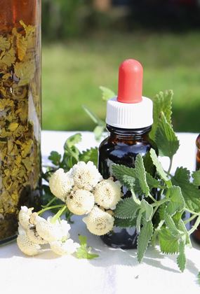 Healing Herbs Workshop