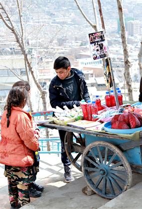 WHEN POMEGRANATES HOWL